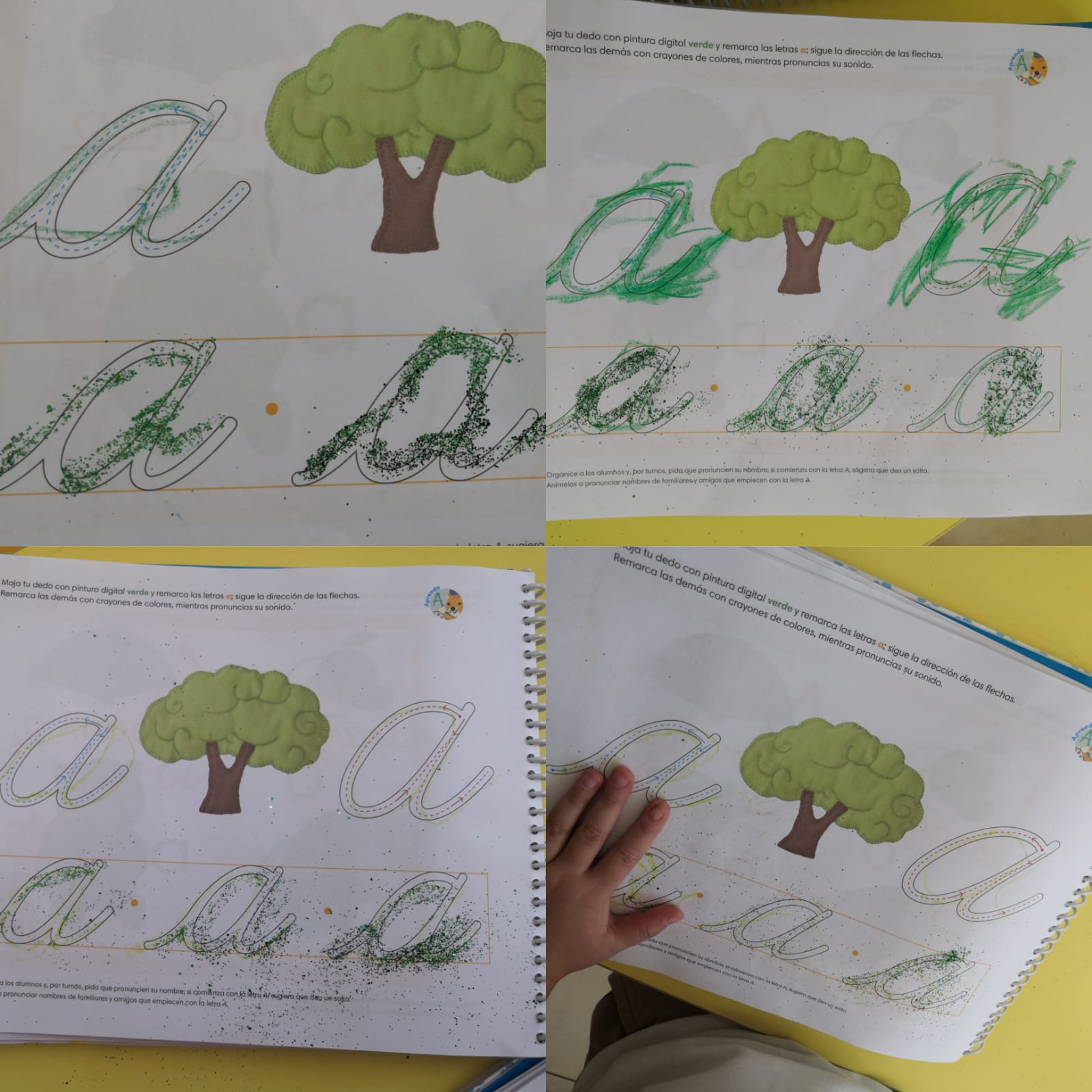 Imagen 13
