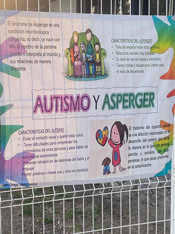 Imagen 8